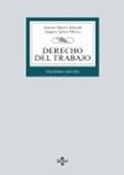 Derecho del Trabajo, 30ª ed, 2021