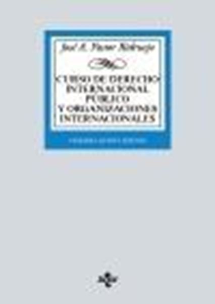 Curso de Derecho Internacional Público y  Organizaciones Internacionales, 25 ª ed, 2021