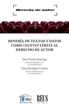 Minería de textos y datos como (nuevo) límite al derecho de autor, 2021