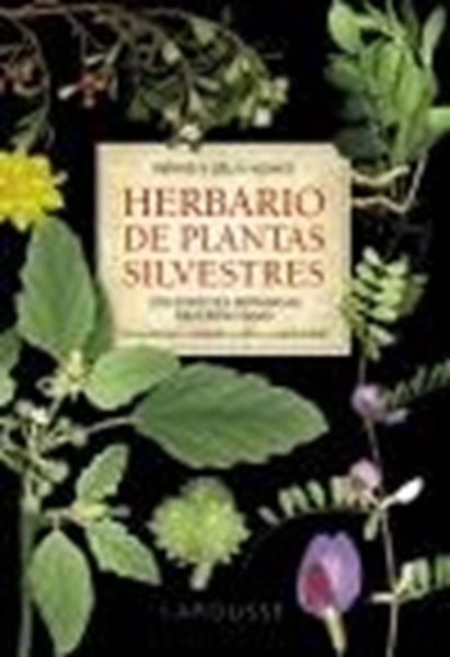 Herbario de plantas silvestres