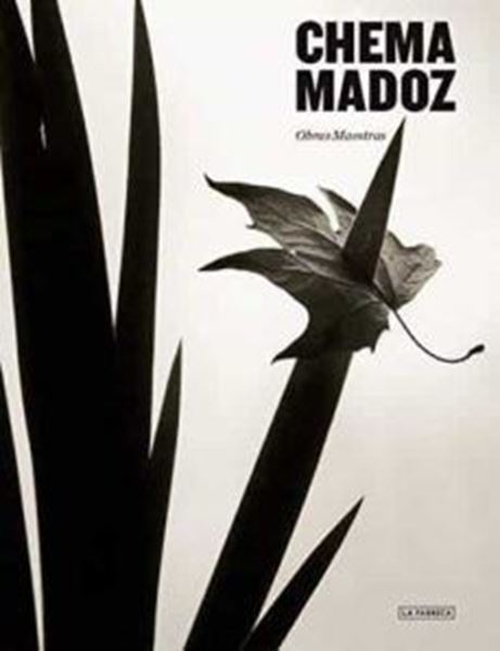 Imagen de Chema Madoz, 2020 "Obras Maestras."