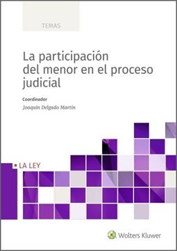 Participación del menor en el proceso judicial, La, 2022