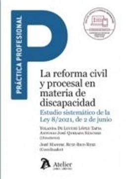 Reforma civil y procesal en materia de discapacidad, La, 2022