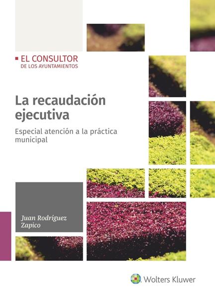 Recaudación ejecutiva, La "Especial atención al procedimiento de apremio en el ámbito municipal"