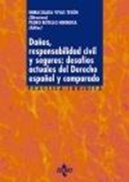 Daños, responsabilidad civil y seguros: desafíos actuales del derecho español y comparado, 2022