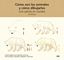 Cómo son los animales y cómo dibujarlos con lápices de colores, 2022