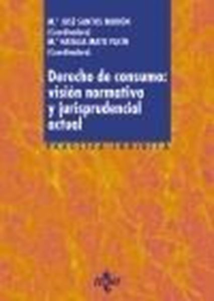 Derecho de consumo: visión normativa y jurisprudencial actual