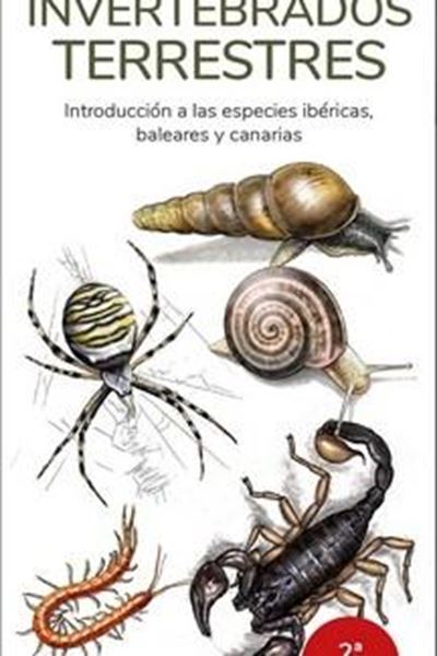 INVERTEBRADOS TERRESTRES - GUIAS DESPLEGABLES TUNDRA "INTRODUCION A LASESPECIES IBERICAS, BALEARES Y CANARIAS"