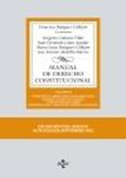Manual de Derecho Constitucional, 17ª ed, 2022 "Vol. II: Derechos y libertades fundamentales. Deberes constitucionales y principios rectores. Institucio"