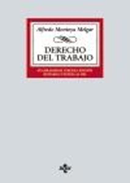 Derecho del Trabajo, 43ª ed, 2022
