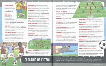 ¡Todo sobre el fútbol!