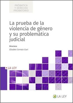 Prueba de la violencia de género y su problemática judicial, La