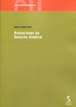 Imagen de Anotaciones de Derecho Sindical, 2023