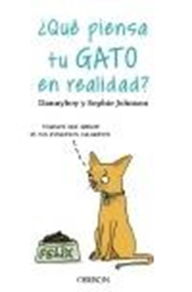 ¿Qué piensa tu gato en realidad?