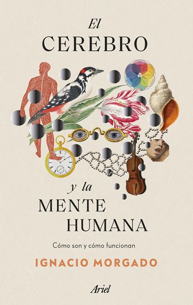 Cerebro y la mente humana, El "Cómo son y cómo funcionan"