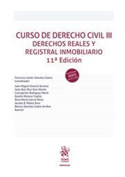 Imagen de Curso de Derecho Civil III. Derechos Reales y Registral Inmobiliario, 11ª Ed, 2022