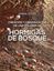 Imagen de HORMIGAS DE BOSQUE "Creación y organización de una colonia"