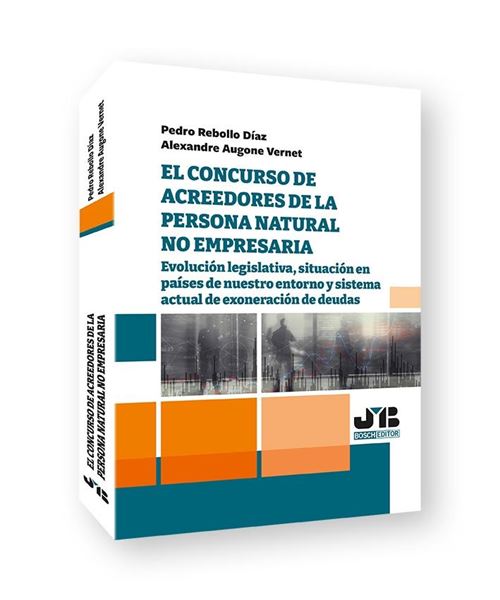 Concurso de acreedores de la persona natural no empresaria, El "Evolución legislativa, situación en países de nuestro entorno y sistema"