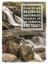 Imagen de Guía de las Reservas Naturales Fluviales de la cuenca del Tajo