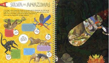 Animales y sus crías "Libro linterna"