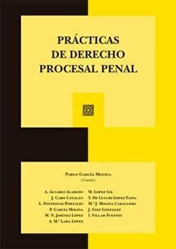 Imagen de Prácticas de Derecho Procesal Penal, 2023