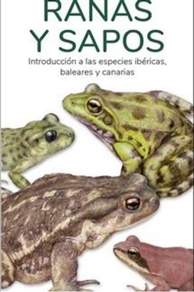 Ranas y sapos "Introducción a las especies ibéricas, baleares y canarias"