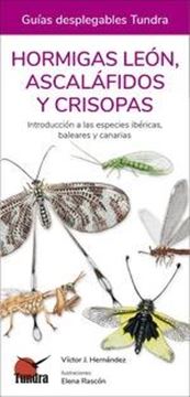 Hormigas León, Ascaláfidos y Crisopas "Introducción a las especies ibéricas, baleares y canarias"