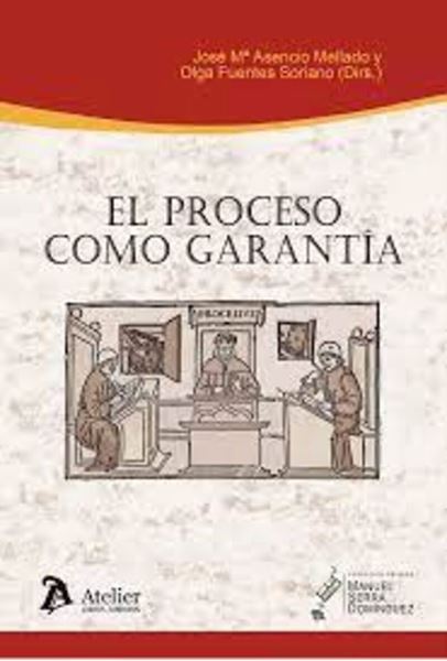 Imagen de Proceso como Garantía, El