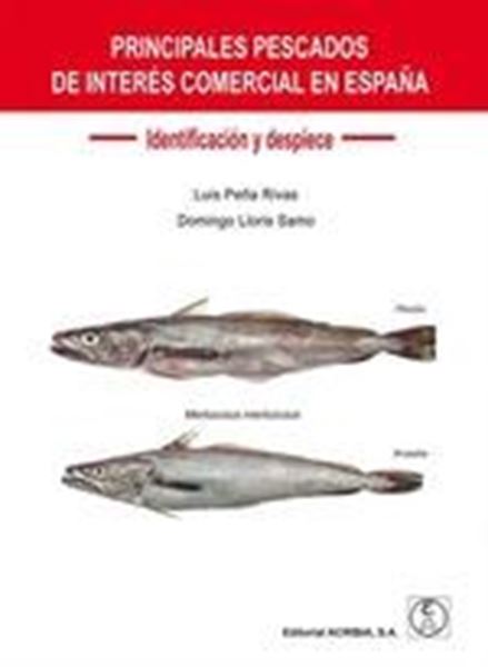Principales pescados de interés comercial en España: identificación y despiece