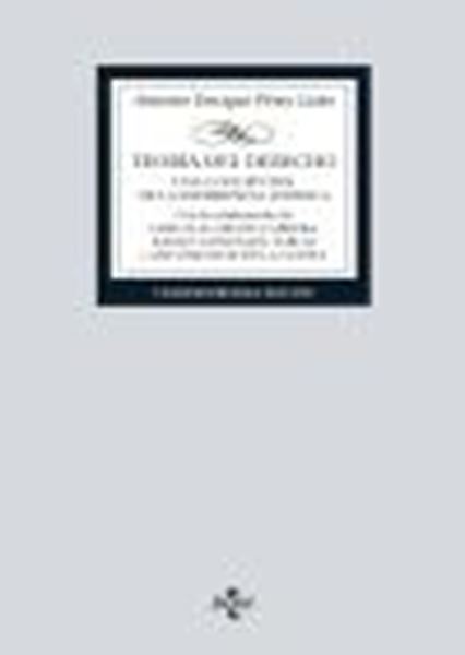 Teoría del Derecho, 21ª ed, 2023 "Una concepción de la experiencia jurídica"