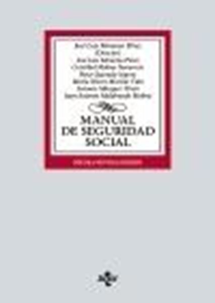 Manual de Seguridad Social, 19ª ed, 2023