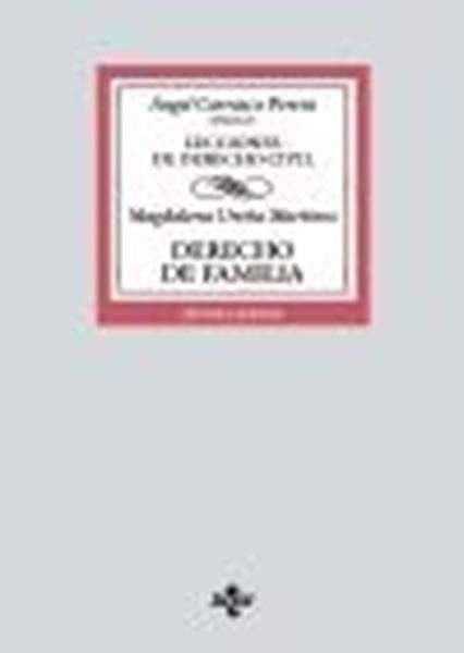 Derecho de Familia, 7ª ed, 2023 "Lecciones de Derecho Civil"