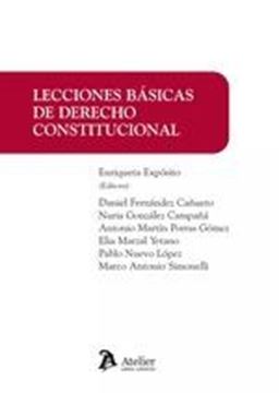 Lecciones básicas de derecho Constitucional, 2023