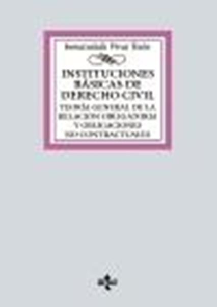 Instituciones Básicas de Derecho Civil, 2023 "Teoría General de la Relación Obligatoria y Obligaciones no Contractuale"