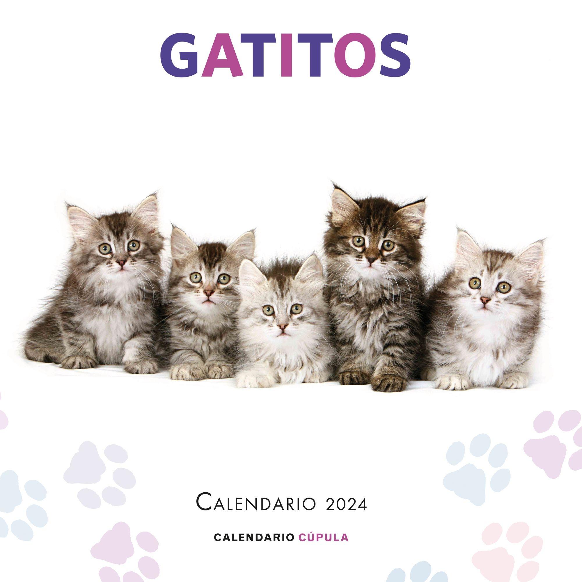 Calendario Gatitos 2025. Librería Cilsa