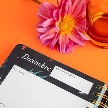 Agenda anual semanal 2024 Naranjalidad