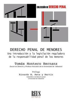 Derecho penal de menores, 2023 "Una introducción a la legislación reguladora de la responsabilidad penal de los menores"