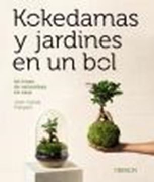 Kokedamas y jardines en un bol "Un trozo de naturaleza en casa"