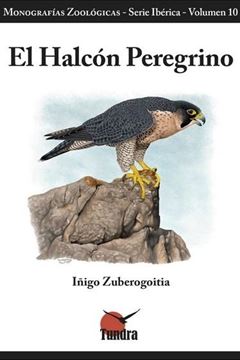 Halcón Peregrino, El