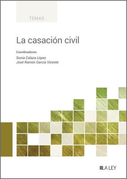 Casación civil, La