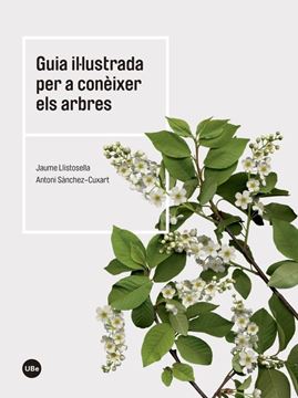 Guia Il Lustrada Per a con Ixer Els Arbres