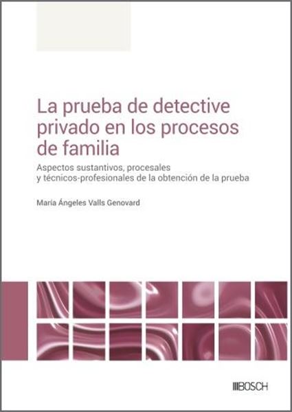 Prueba de Detective Privado en los Procesos de Familia, La "Aspectos Sustantivos, Procesales y Técnico-Profesionales de la Obtención"