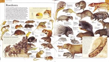 Enciclopedia de los animales