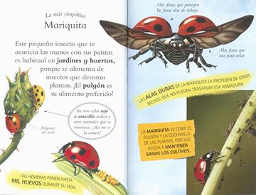 Descubre los Insectos "Ya sé Leer. Nivel 2"