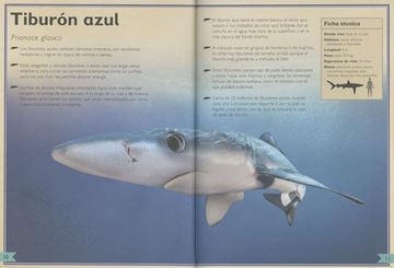 El Majestuoso Libro de los Tiburones