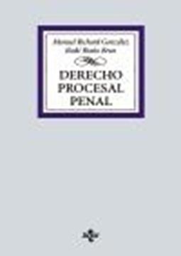 Derecho Procesal Penal, 2024