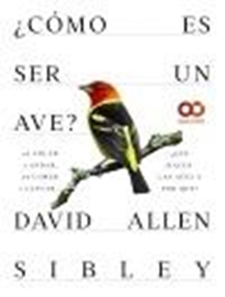 ¿Cómo Es Ser un Ave? de Volar a Anidar, de Comer a Cantar... ¿Qué Hacen las Aves y por Qué?