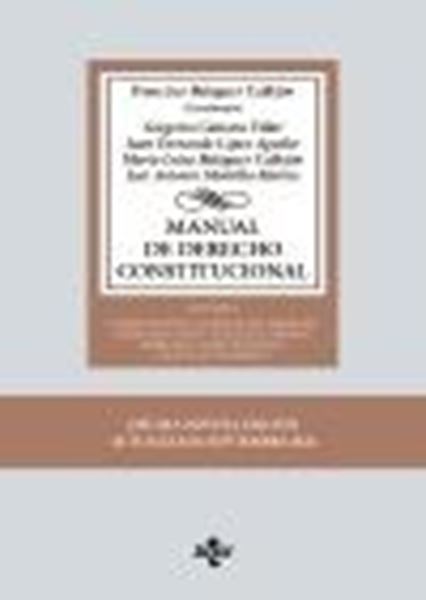Manual de Derecho Constitucional. Vol. I  - 19ª ed. 09/2024 " Constitución y fuentes del Derecho. Derecho Constitucional Europ"